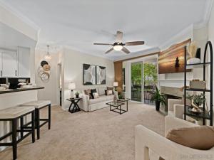 MLS #250044075SD image #0