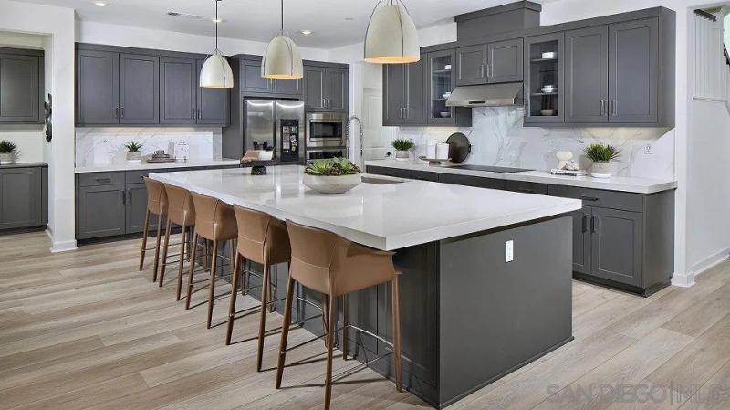 MLS #250044079SD image #0