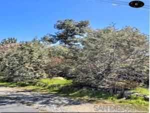 MLS #250044450SD image #0