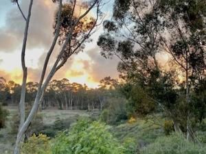 MLS #250045314SD image #0