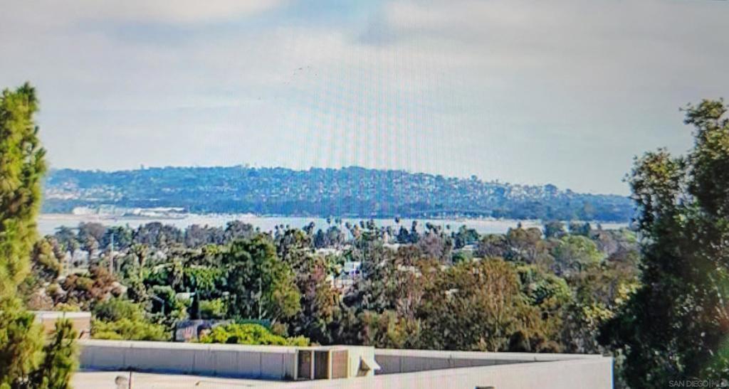 MLS #250045352SD image #0