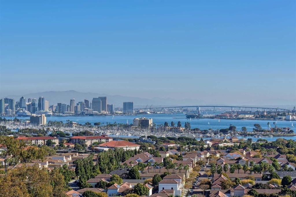 MLS #250045428SD image #0