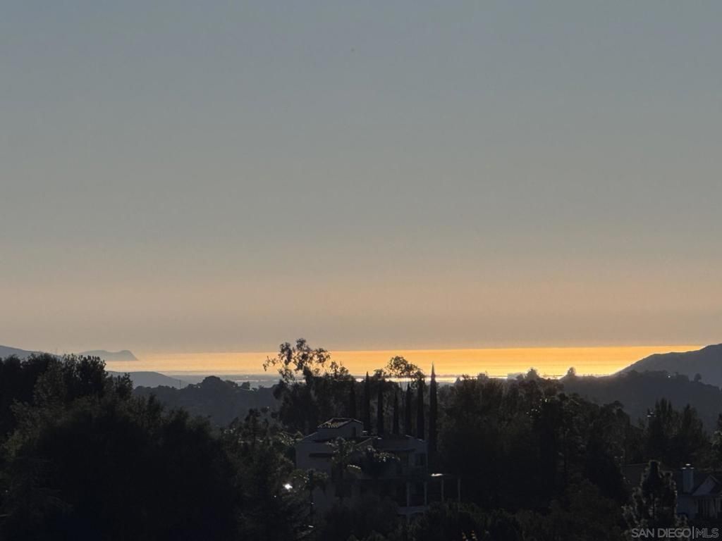 MLS #250045506SD image #0