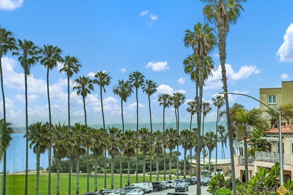 MLS #250045593SD image #0