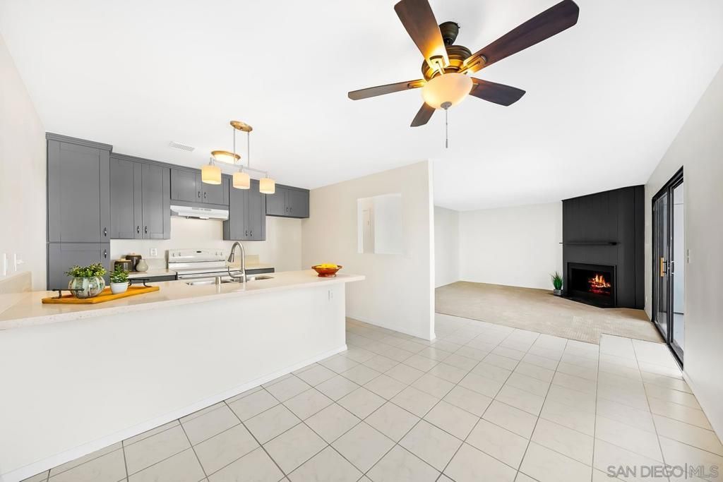 MLS #250045902SD image #0