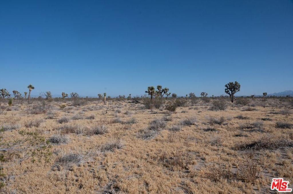 MLS #25508189 image #0