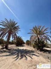 MLS #25543891PS image #0