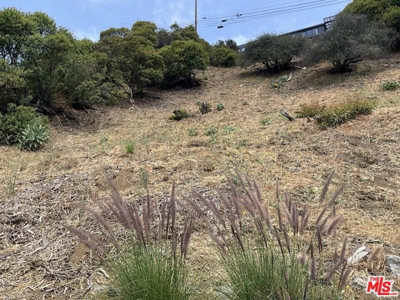 MLS #25557229 image #0