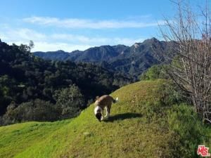 Chamera LN Topanga CA 90290 MLS #25563527 9 MLS #25563527 image #0