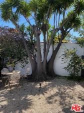 MLS #25578193 image #0