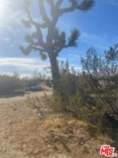 MLS #25580911 image #0