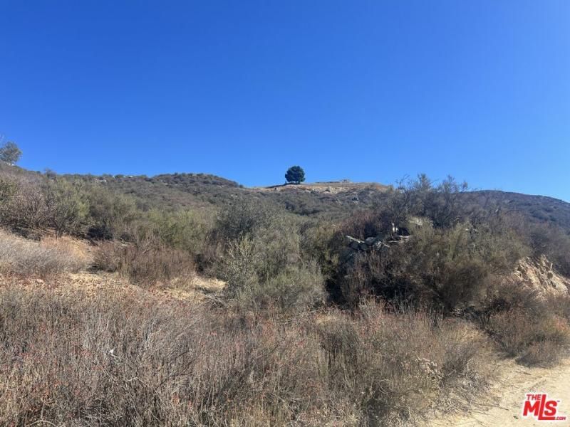 MLS #25590347 image #0