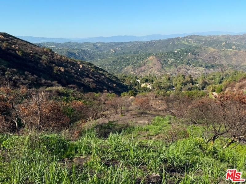 Fir Ridge DR Topanga CA 90290 | MLS #25629053 41 MLS #25629053 image #0