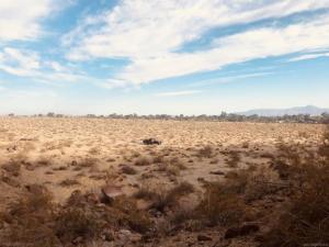 MLS #260010617SD image #0