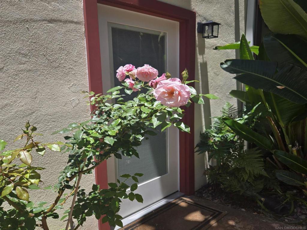 MLS #260014724SD image #0