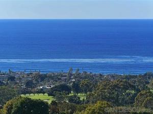 MLS #260014985SD image #0