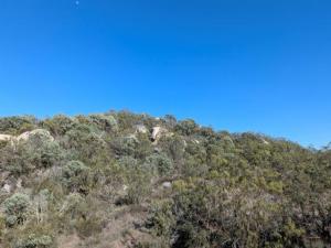 MLS #260015575SD image #0