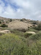 MLS #260016288SD image #0