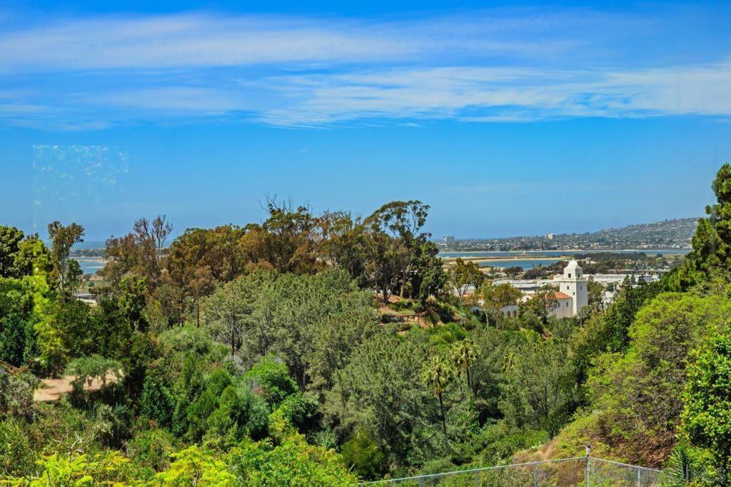 MLS #260018087SD image #0