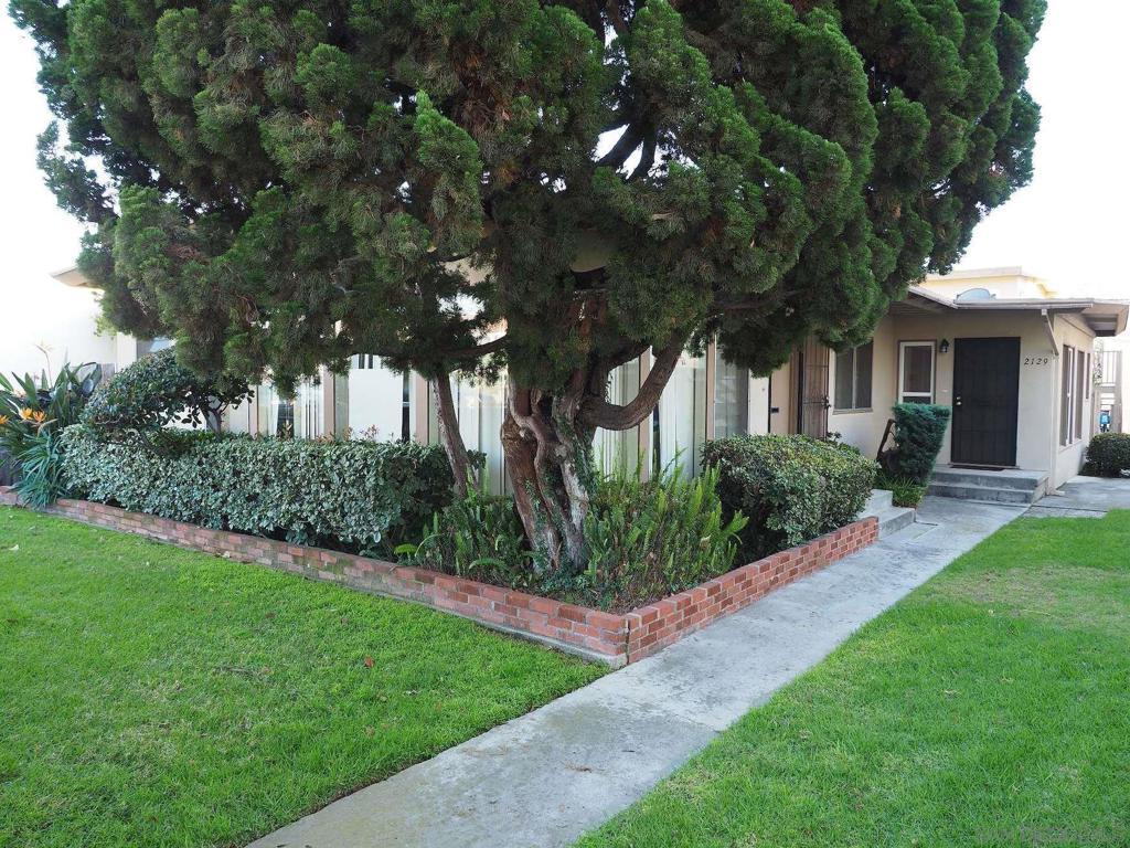 MLS #260018256SD image #0
