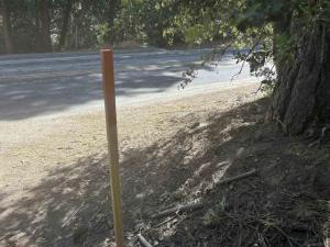 MLS #260023140SD image #0