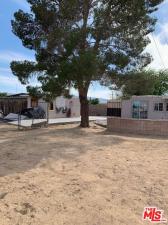 5059 1st ST Joshua Tree CA 92252 | MLS #26659377 43 MLS #26659377 image #0