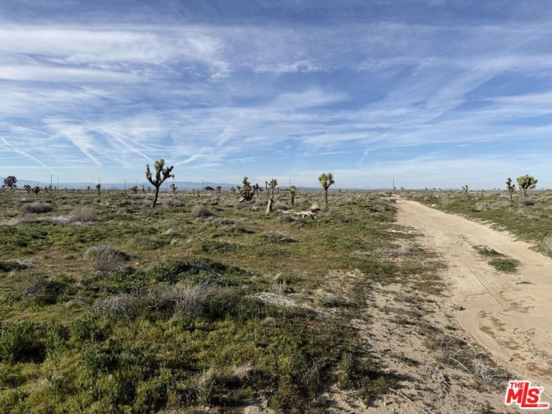 MLS #26659967 image #0