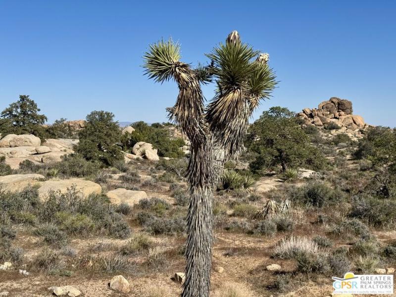 MLS #26667591PS image #0