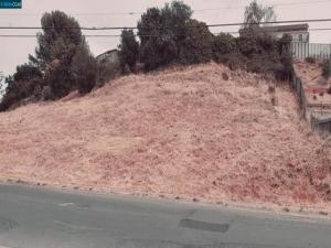 MLS #41053049 image #0