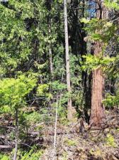 MLS #41057072 image #0