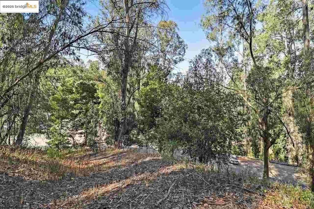 MLS #41084504 image #0