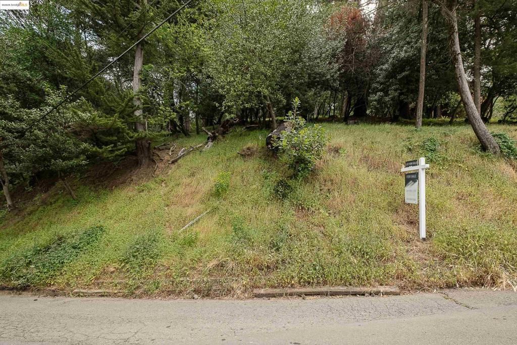 MLS #41096854 image #0