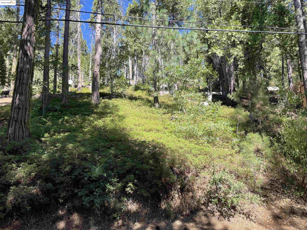 MLS #41109941 image #0