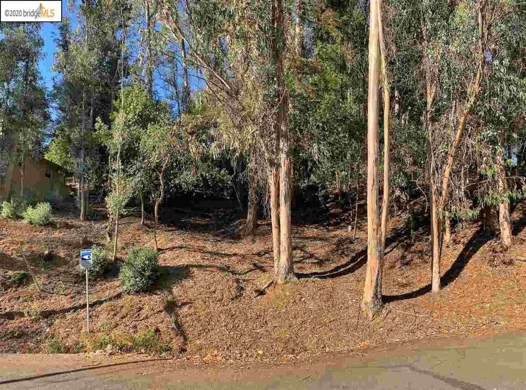6696 Moore Dr Oakland CA 94611 | MLS #41123434 41 MLS #41123434 image #0