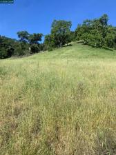Toyon Road Lafayette CA 94549 | MLS #41128647 41 MLS #41128647 image #0
