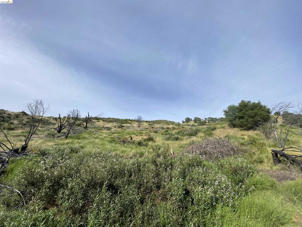 MLS #41128947 image #0