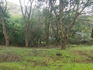 12 Vista Del Orinda Orinda CA 94563 | MLS #41131639 41 MLS #41131639 image #0