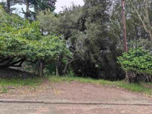 MLS #41134564 image #0