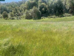 MLS #41140810 image #0