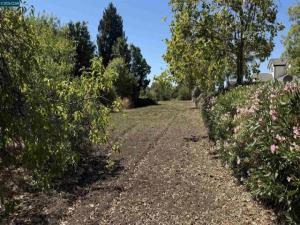 1819 Ayers Rd Concord CA 94521 | MLS #41142985 25 MLS #41142985 image #0
