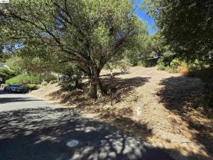 Barbara Rd Orinda CA 94563 | MLS #41143714 41 MLS #41143714 image #0