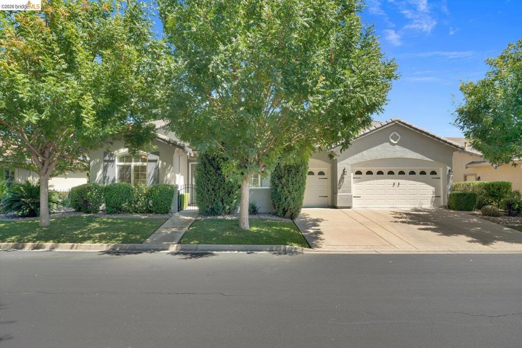 1161 Bacchini LN Brentwood (CC) CA 94513 | MLS #41144416 45 MLS #41144416 image #0