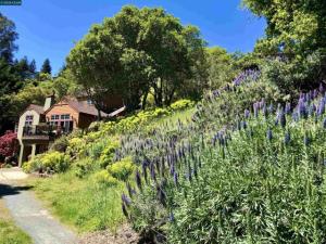 MLS #41146315 image #0