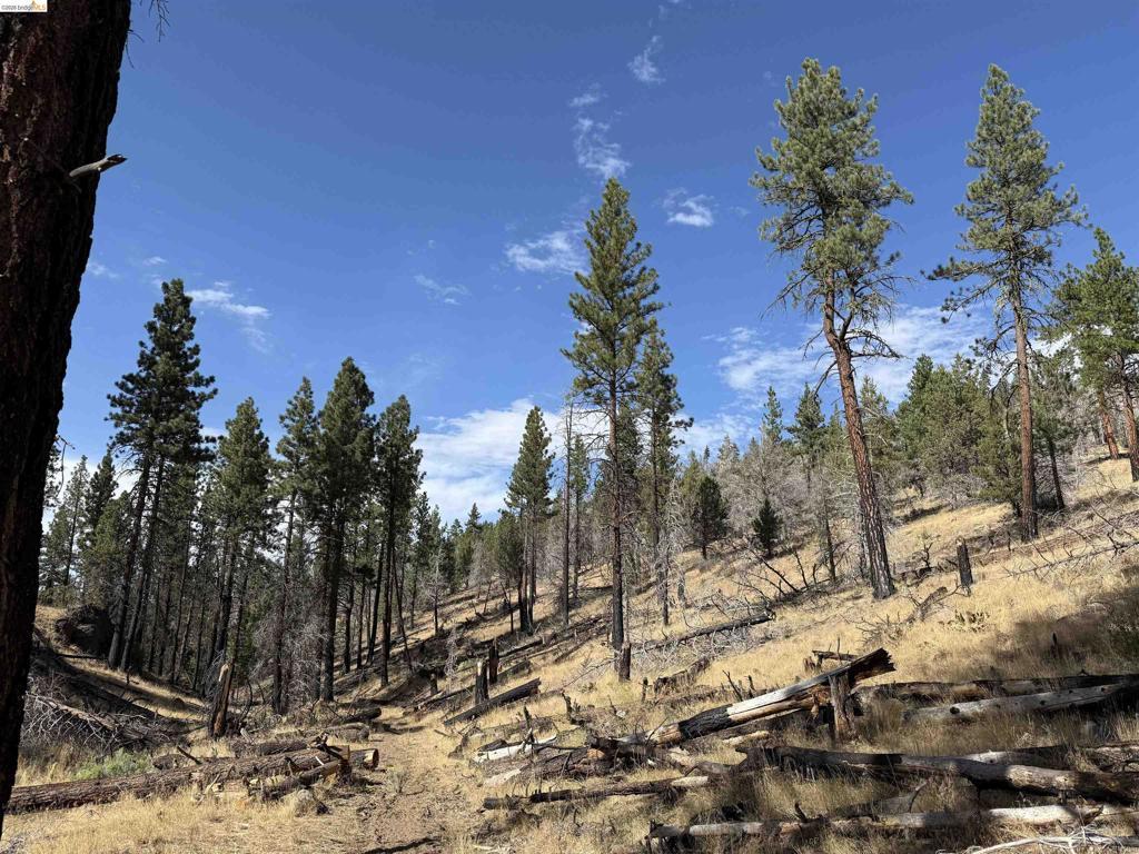 MLS #41147236 image #0