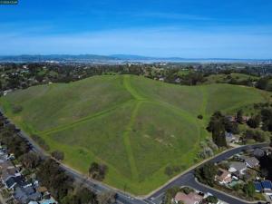 Vine Hill Way Martinez CA 94553 | MLS #41147598 9 MLS #41147598 image #0