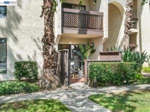 39843 Cedar Blvd #118 Newark CA 94560 | MLS #41149434 45 MLS #41149434 image #0