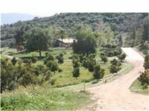 MLS #81024900 image #0