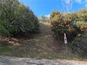 Peterson Lot 8 South Pasadena CA 91030 MLS #AR25044683 41 MLS #AR25044683 image #0