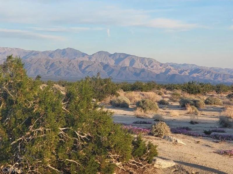 MLS #AR25052430 image #0