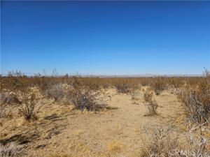 MLS #AR25060984 image #0